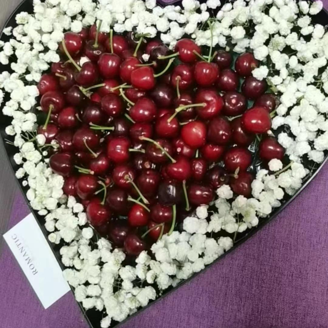 🌴境随心转☘️