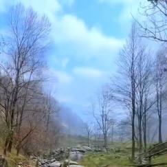 泓清泉