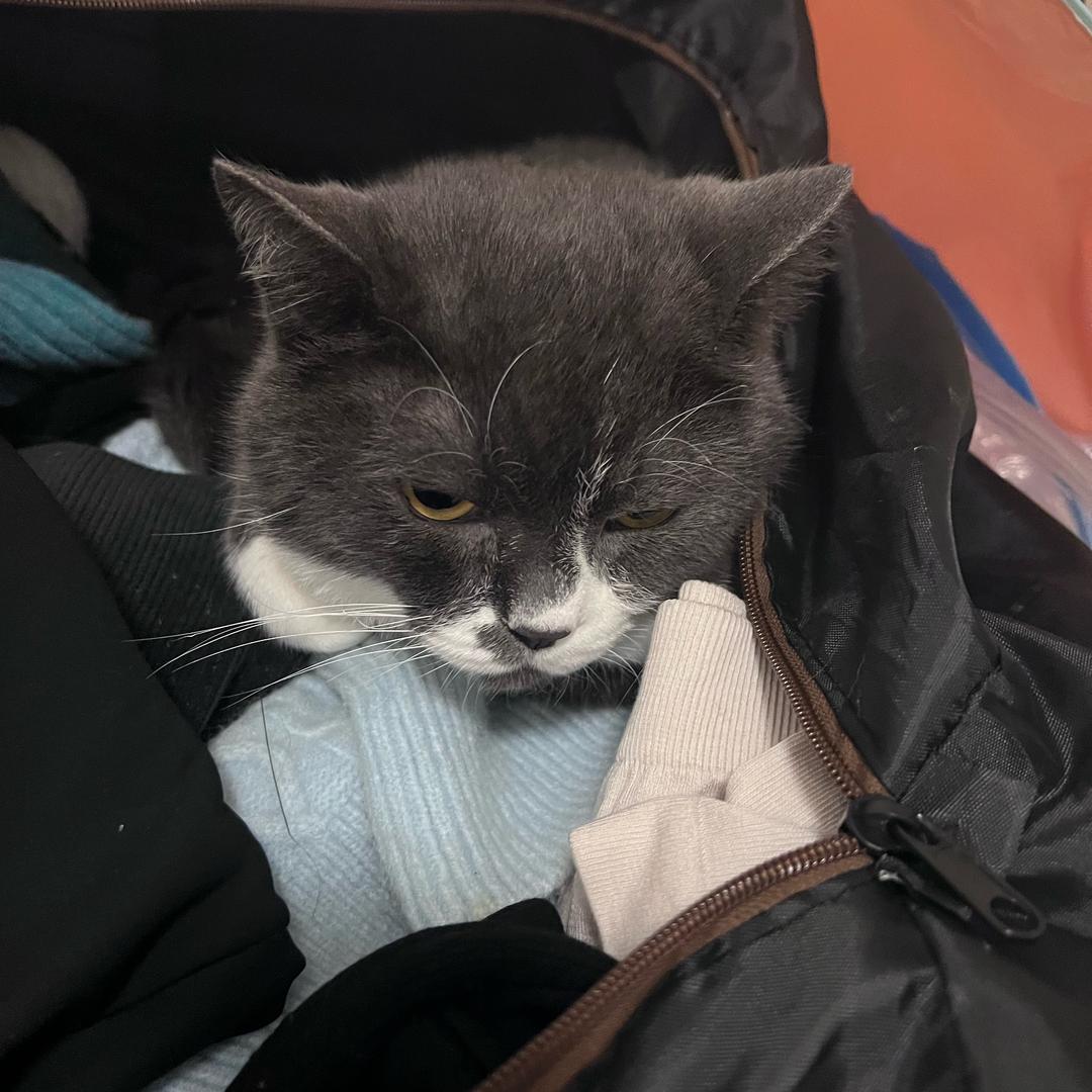 天明（三角洲）