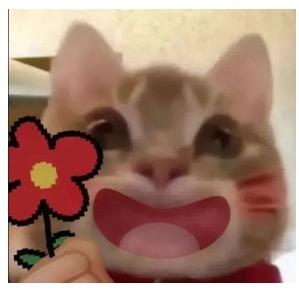 🦋꧔ꦿ᭄💞刘刘大顺💞꧔ꦿ᭄