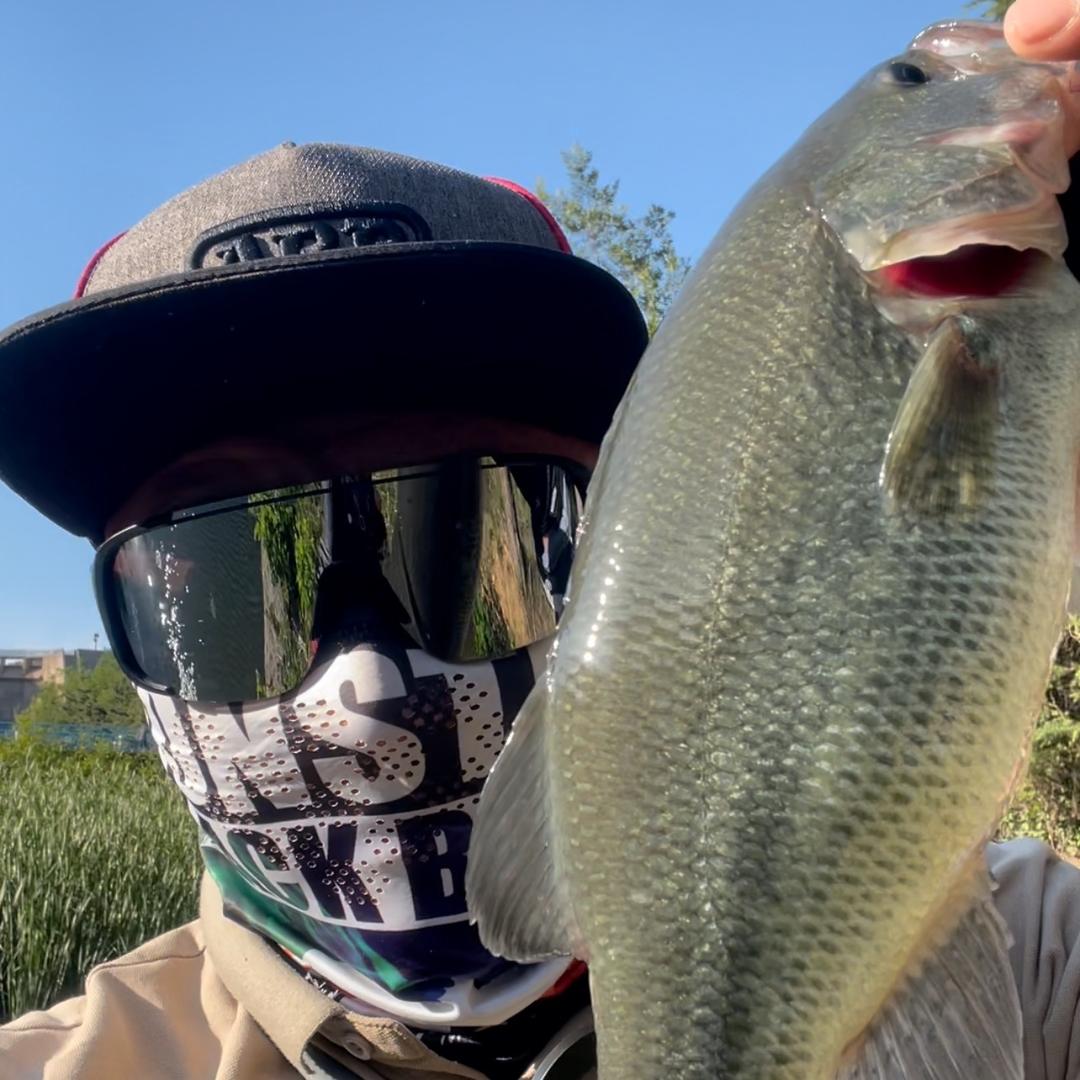 黄岛区周家夼垂钓园(路亚,台钓)