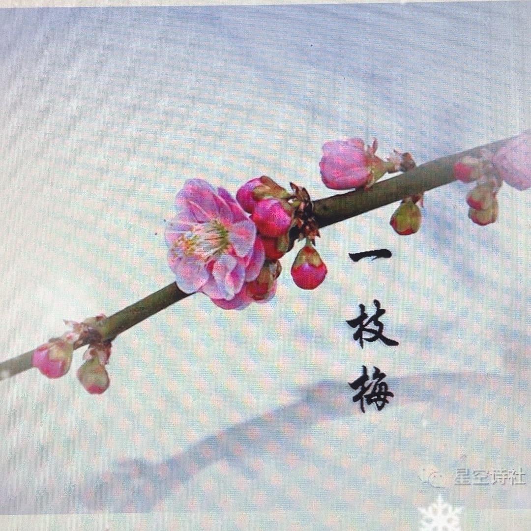 恏