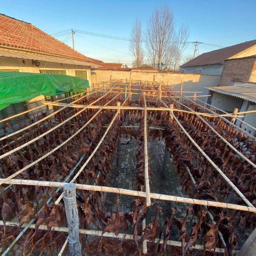 爆酱风干鸡  德州