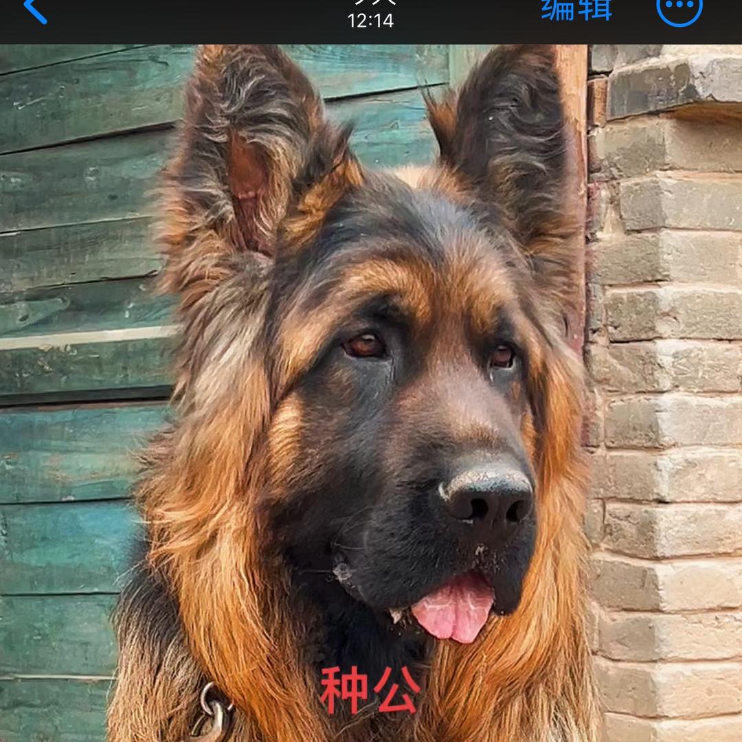 格局778