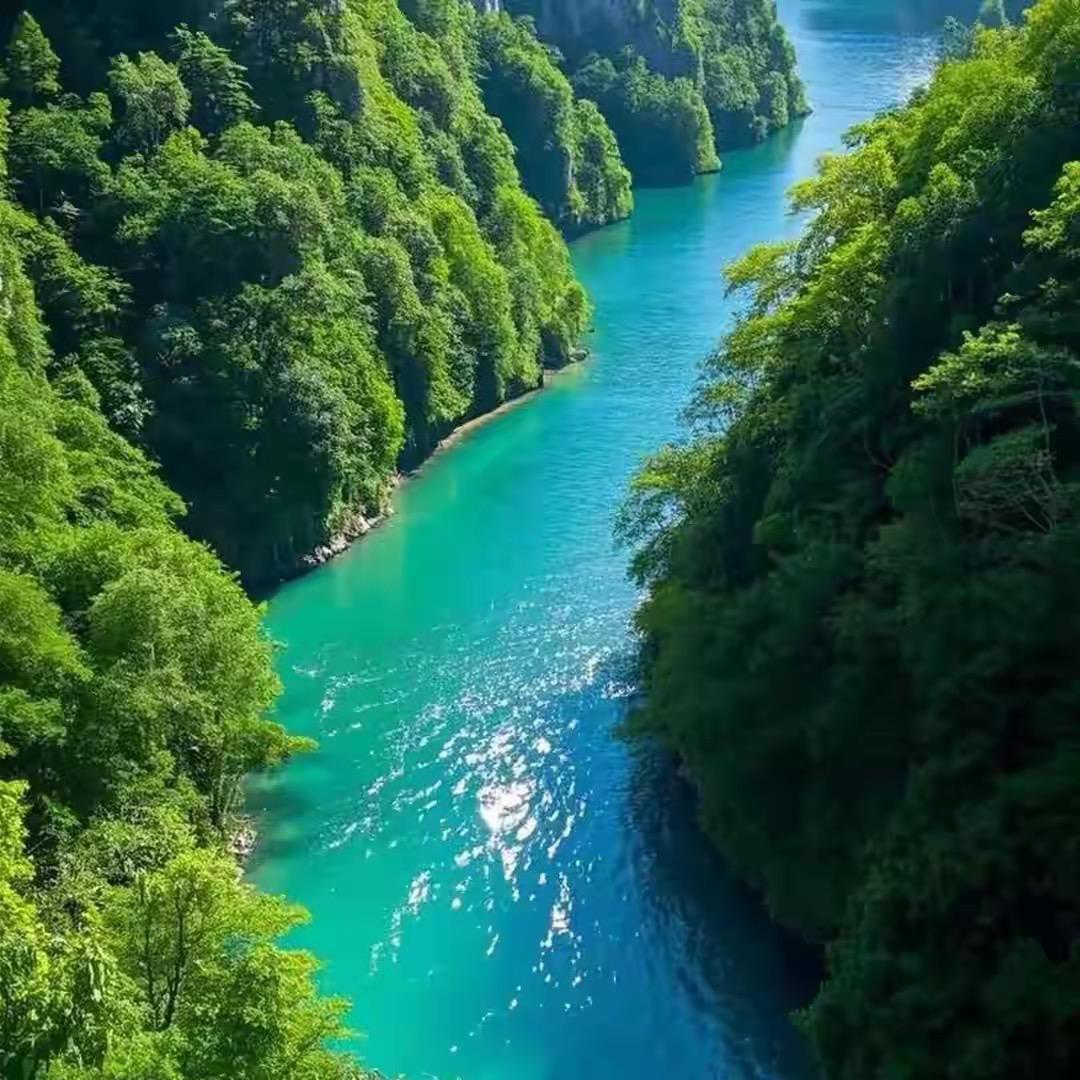 墙壁开关