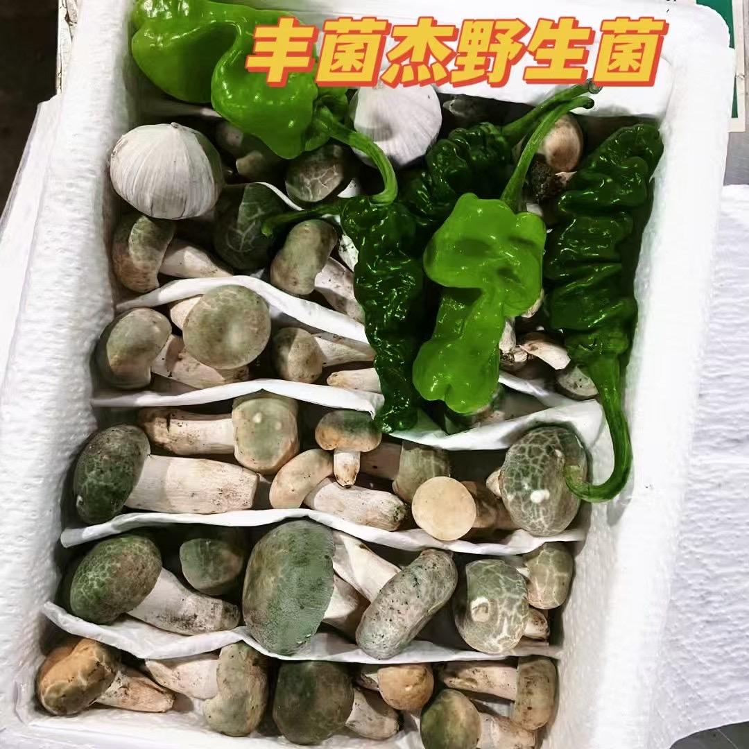 丰菌杰