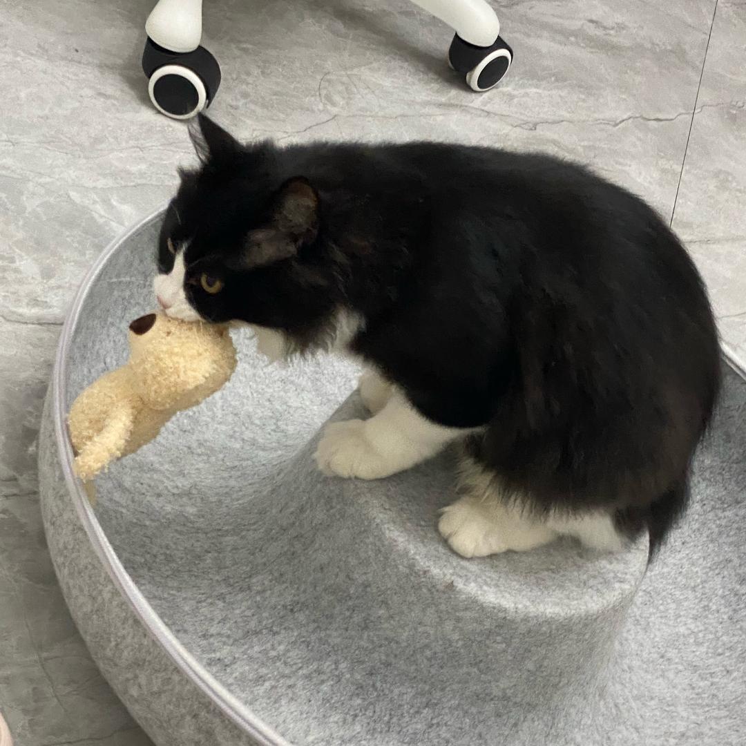 棠舟东光（三角洲行动）