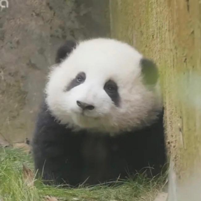 🧂🌧️慧