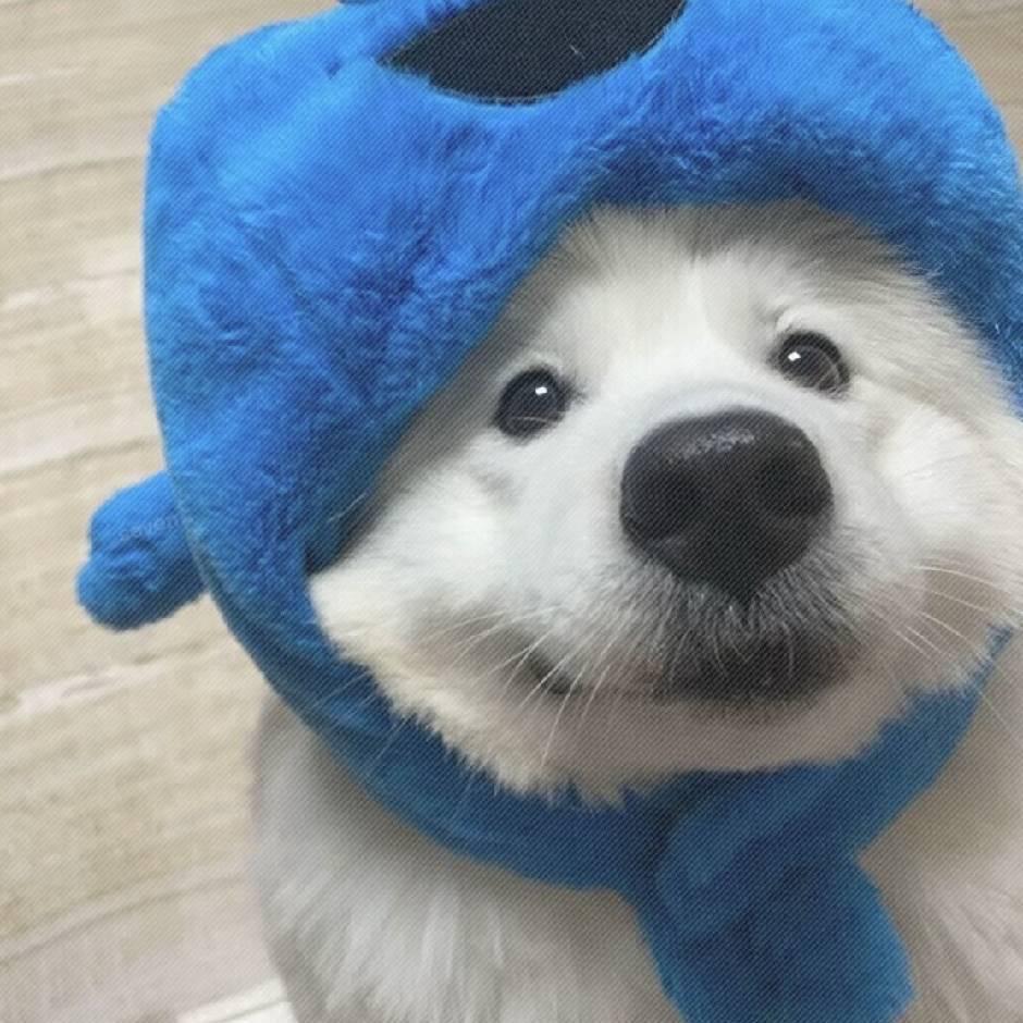 @.
