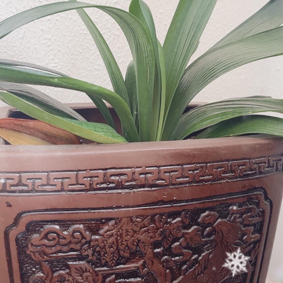 黄丕富的吉双洋美食小铺