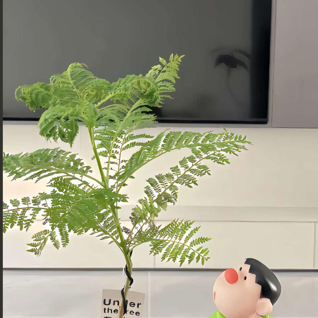 海纳百川