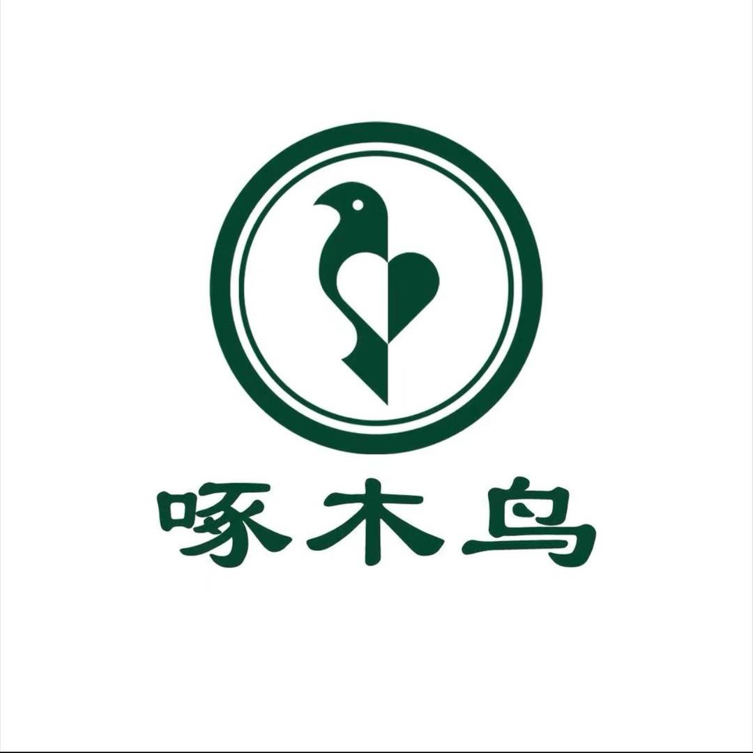 啄木鸟真皮高定女鞋