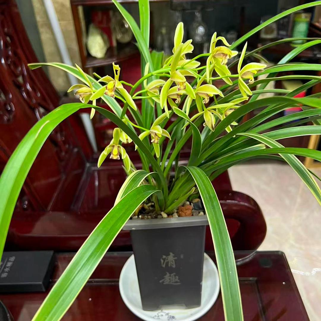 烘焙机械，烤箱 发酵箱