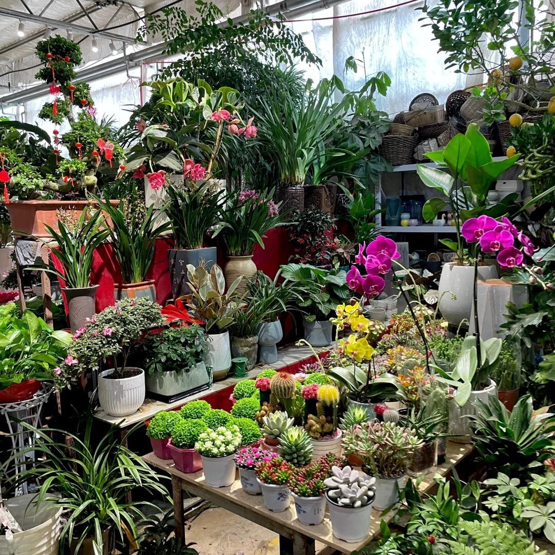 🧚🏾‍♀️