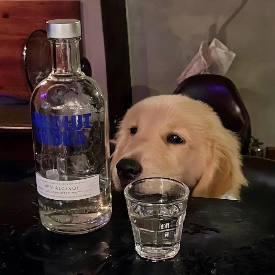 余悸
