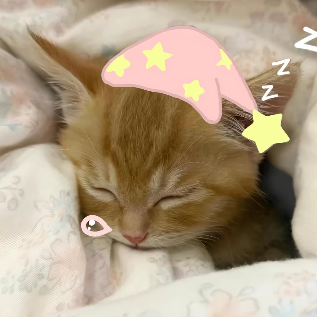 喜东东