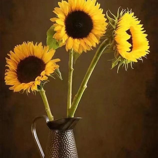 赵赵老师柏誉思