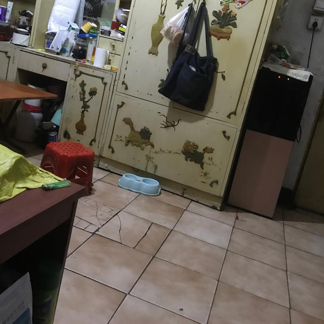 每天开心