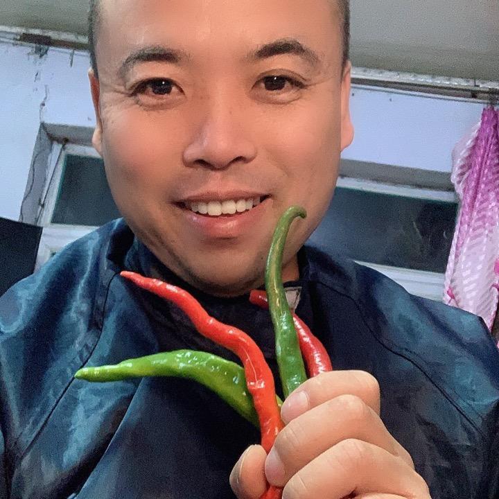 铁菊哥