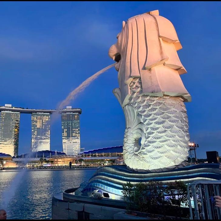 新加坡牛车水