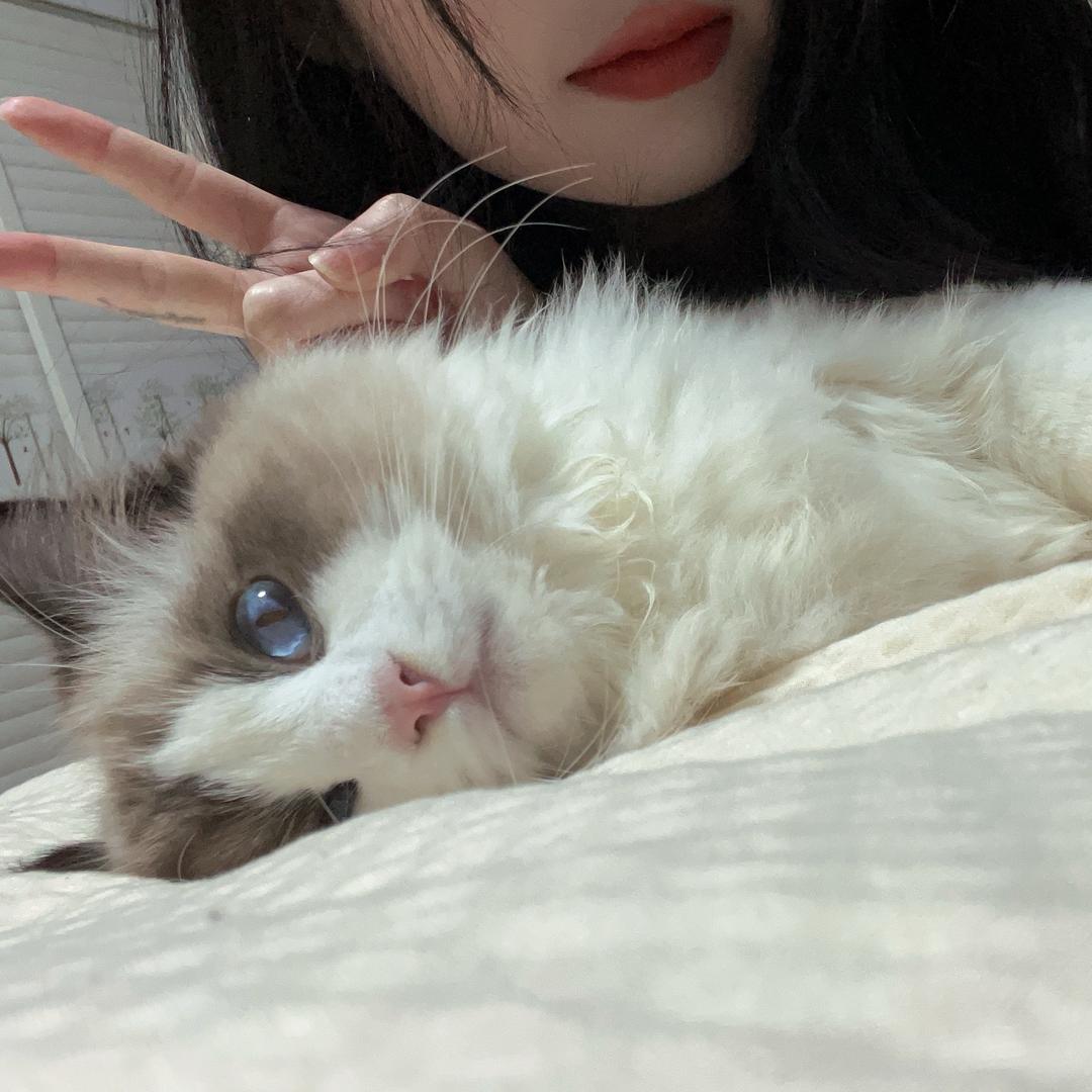 可爱多