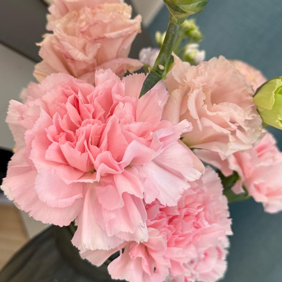 刘班长的小跟班👧👧