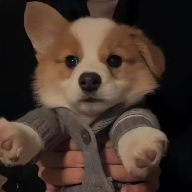 北辰