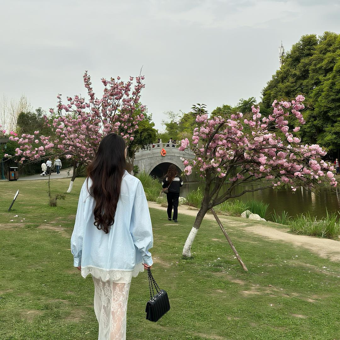 藍藍