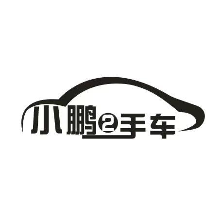 天津小鹏二手车