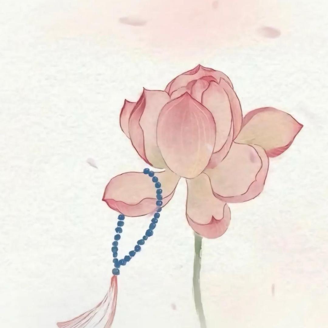 琼·女装集合小铺子