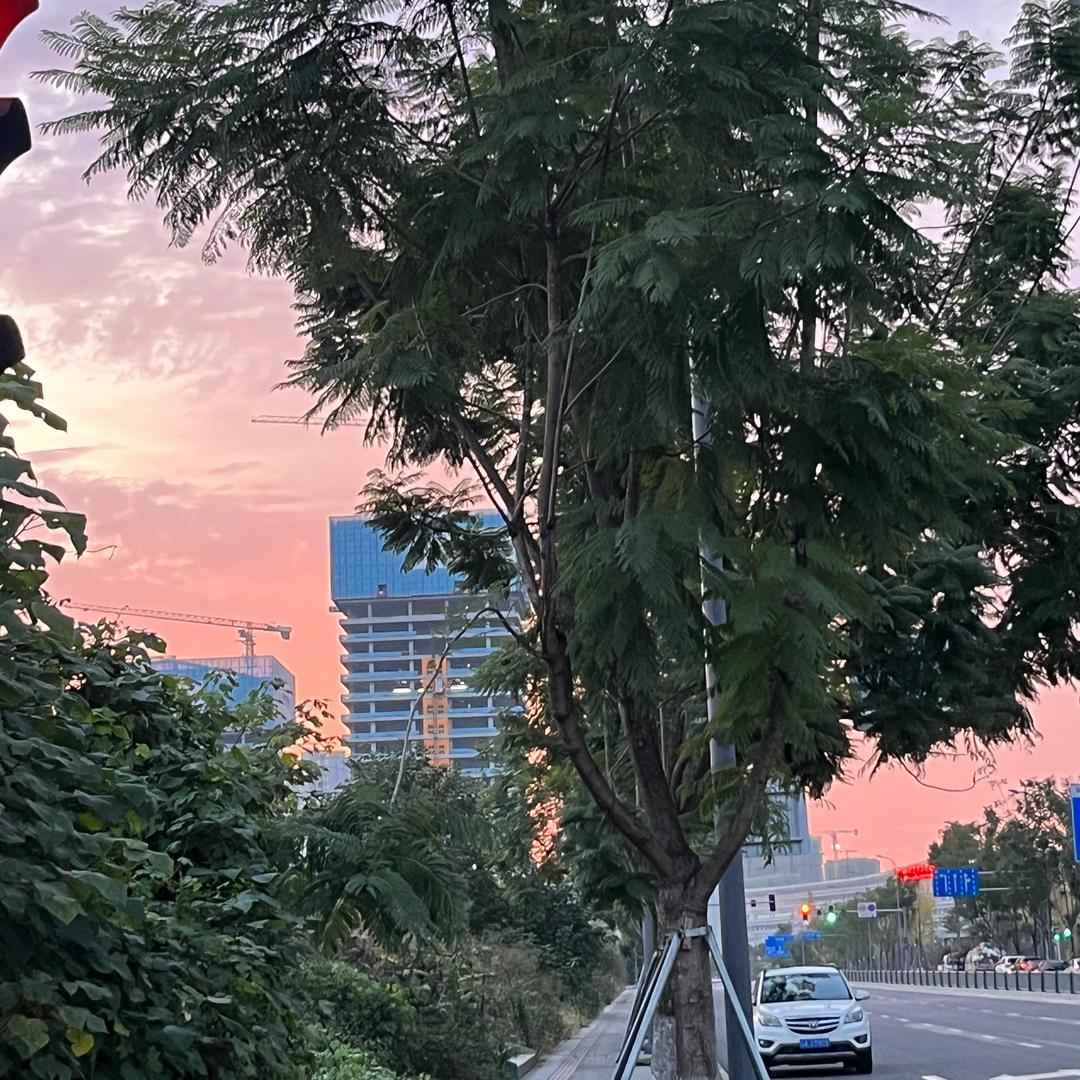 农村大姐