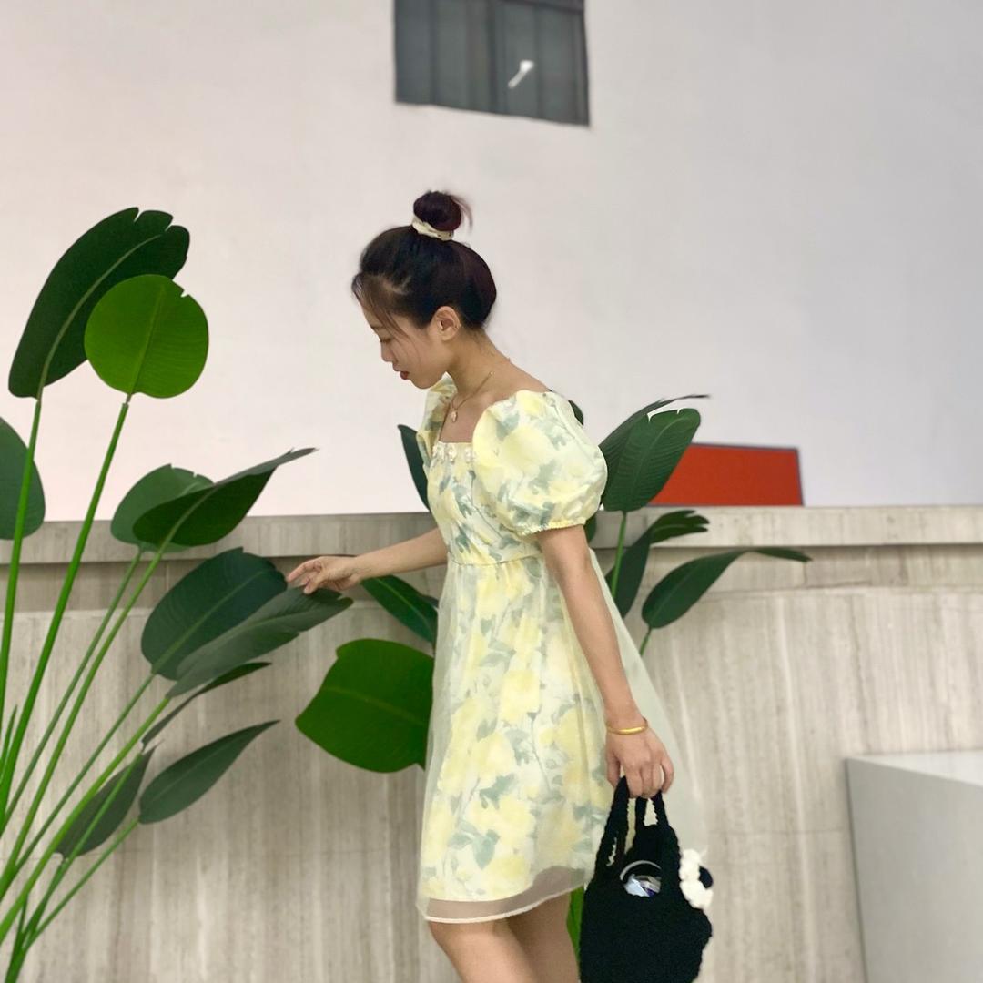 孟孟来了