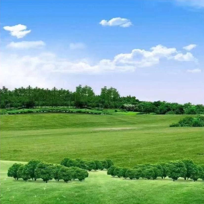 左军杰