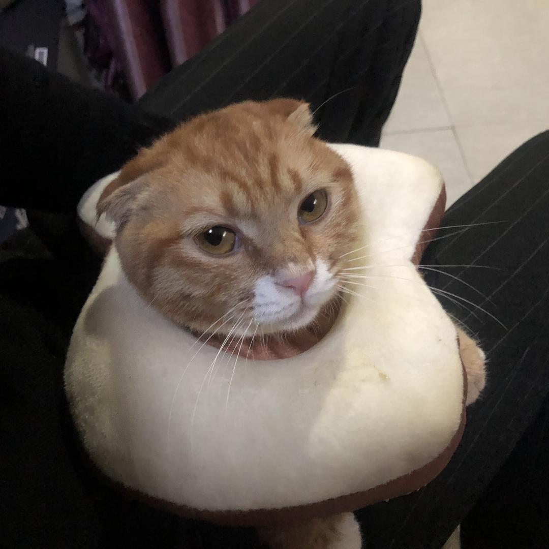 独眼霹雳