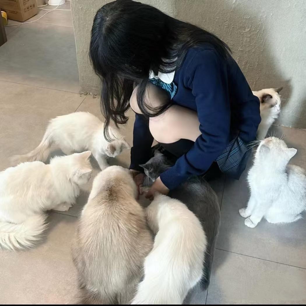 现在在在在