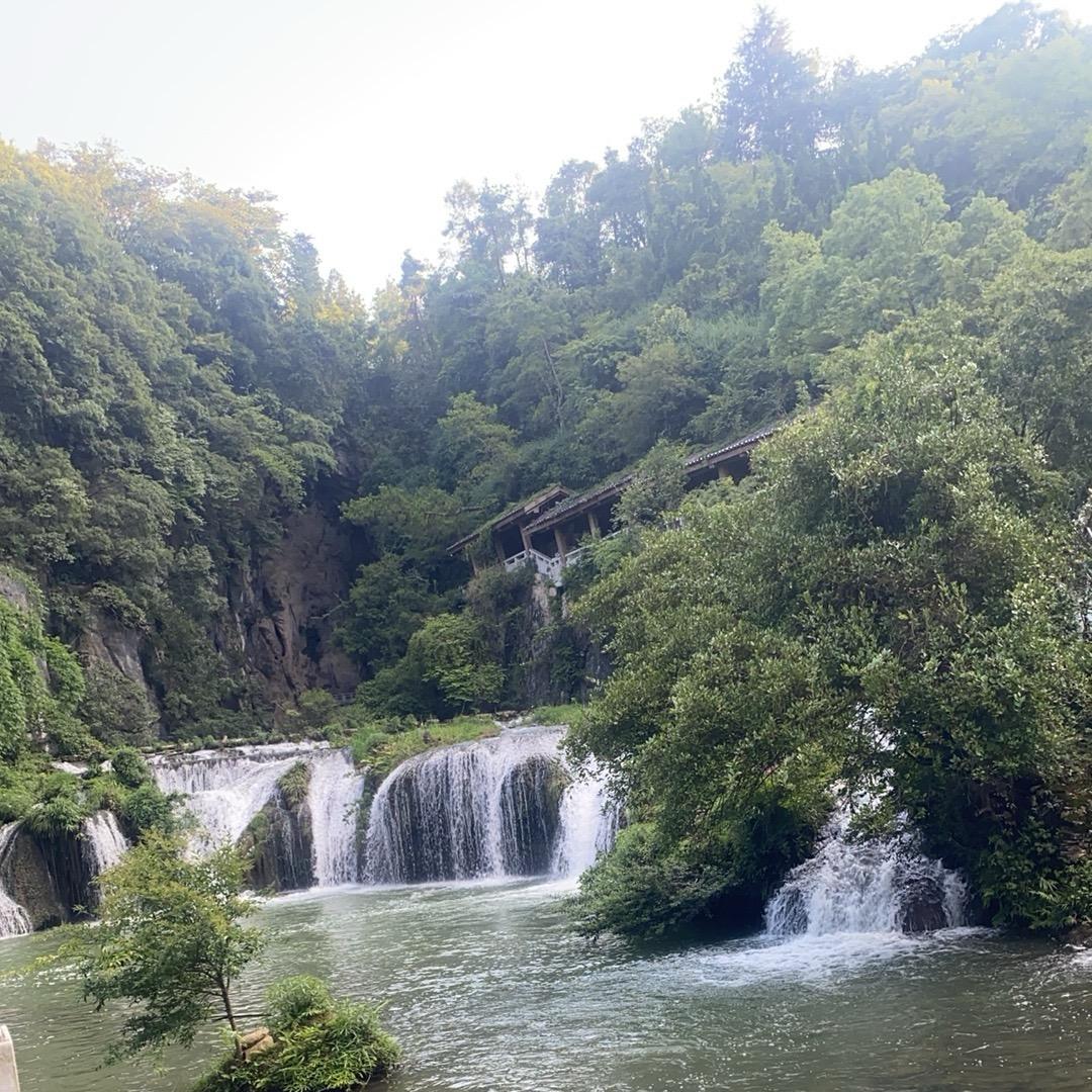 悦宏有限公司主播贞