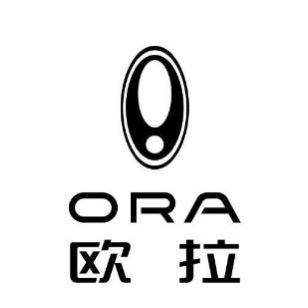 欧拉汽车六安良誉