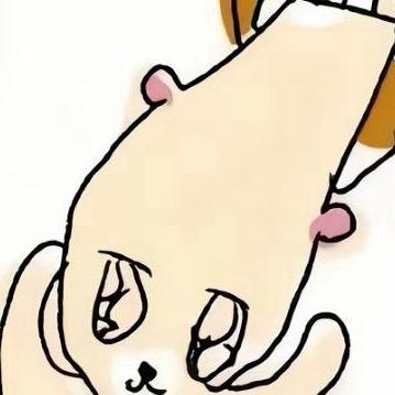 张子豪的猪