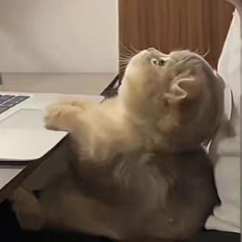 ？让人