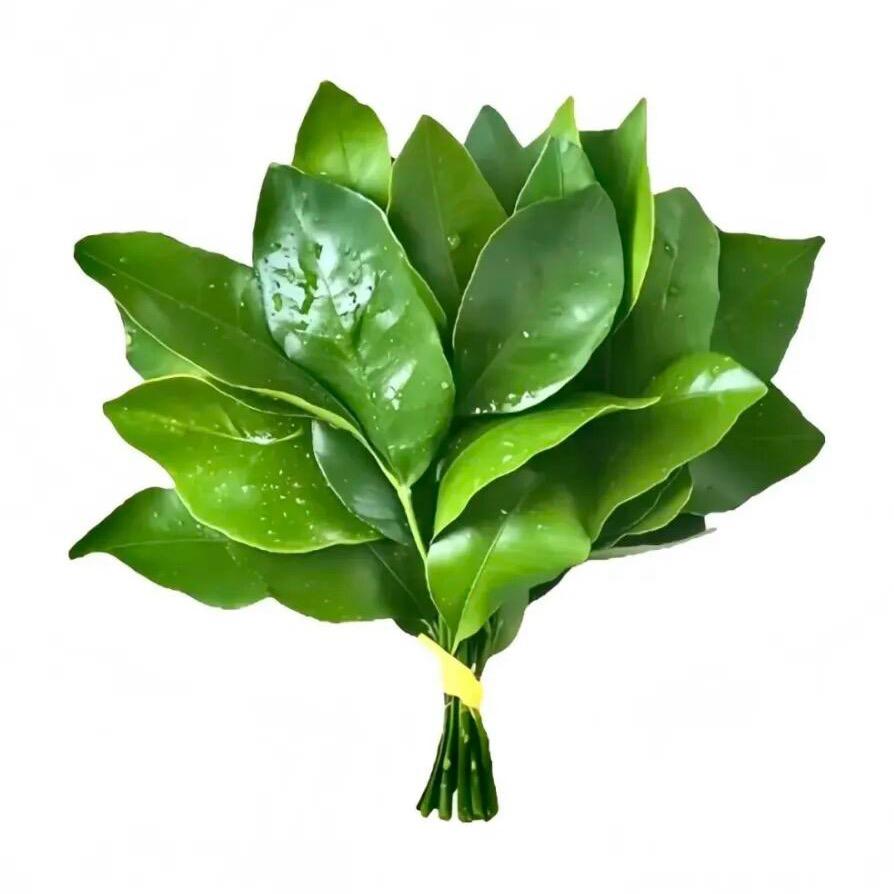ʟ̆̈ᴜ̆̈ᴄ̆̈ᴋ̆̈ʏ̆̈