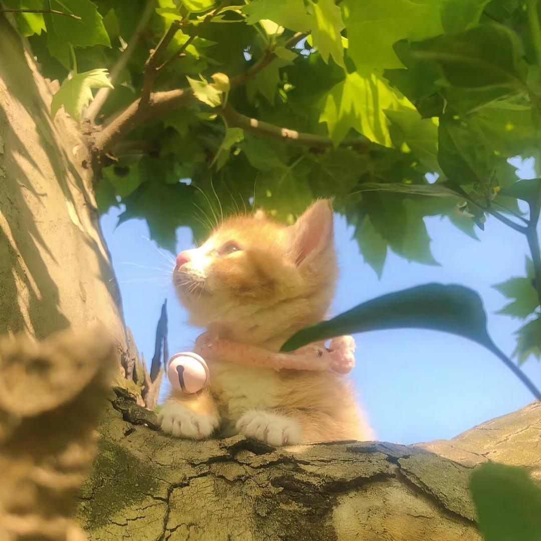 眠