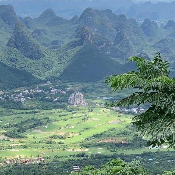 Wang 王