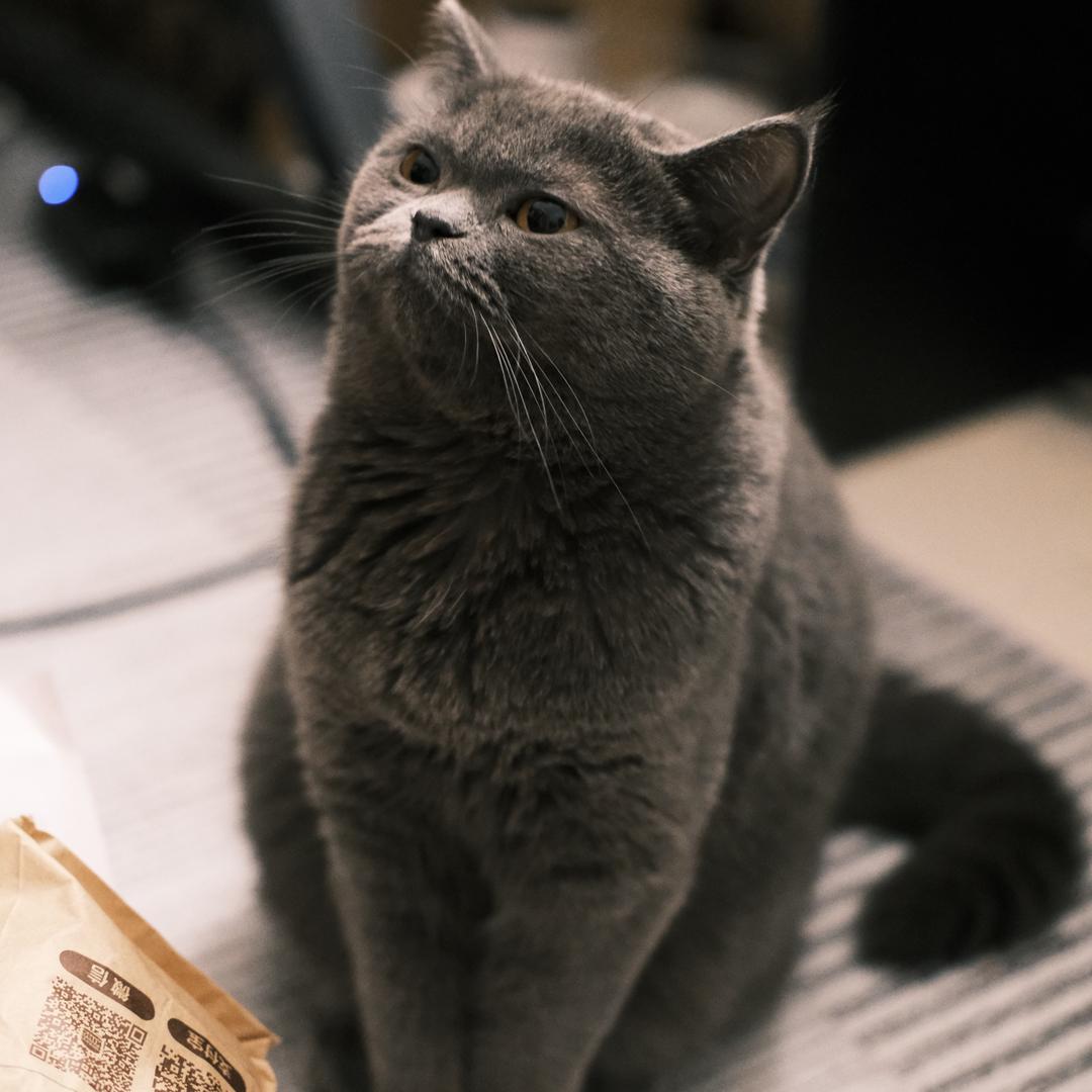 闪开（猎杀对决）
