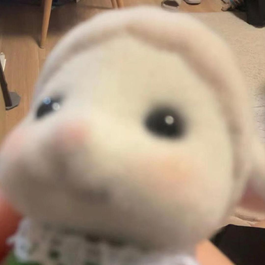 yy