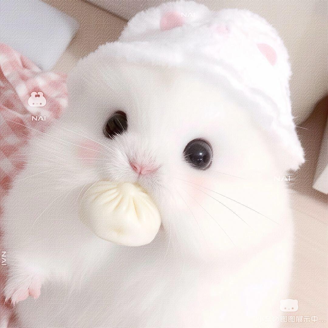 Ry.水星