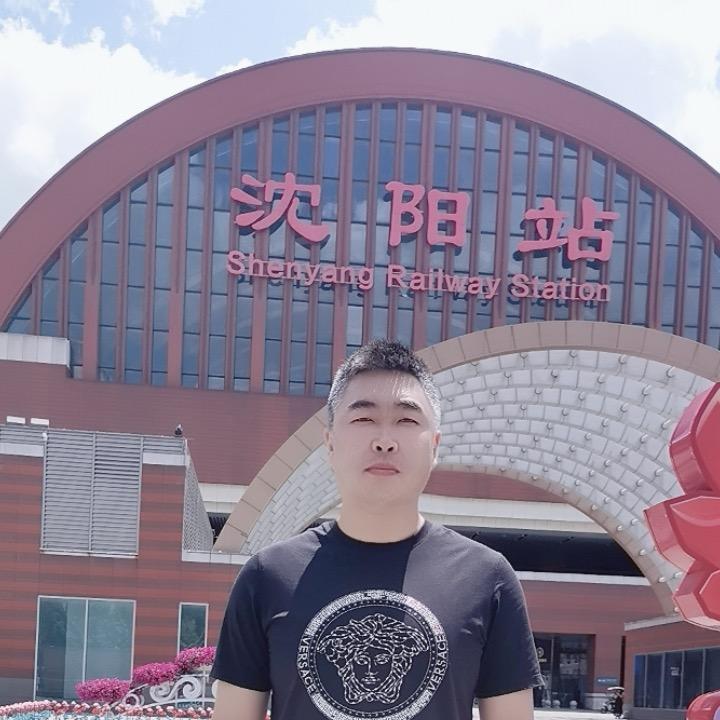 沈阳大振