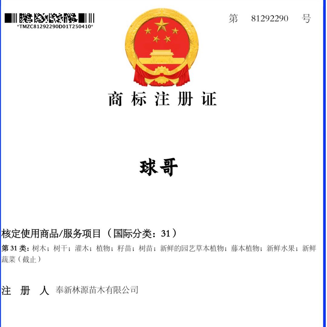 江西球哥