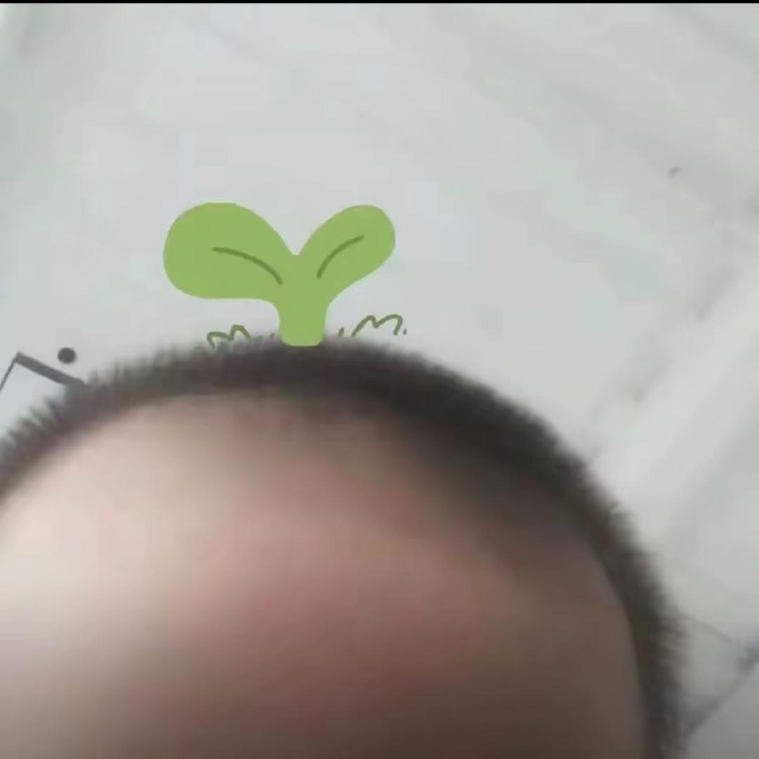 小鱿鱼
