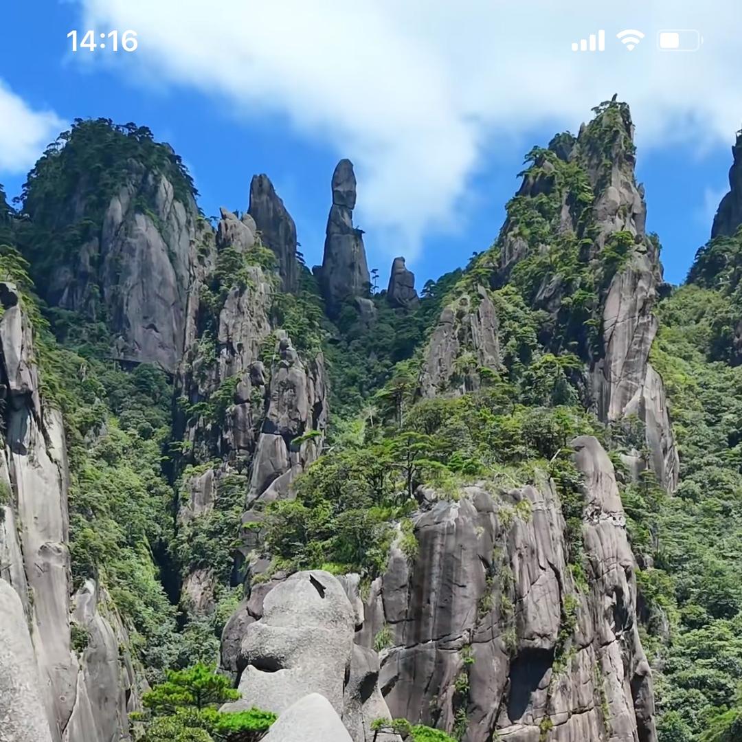 珏瞬贸易-小鹿直播号