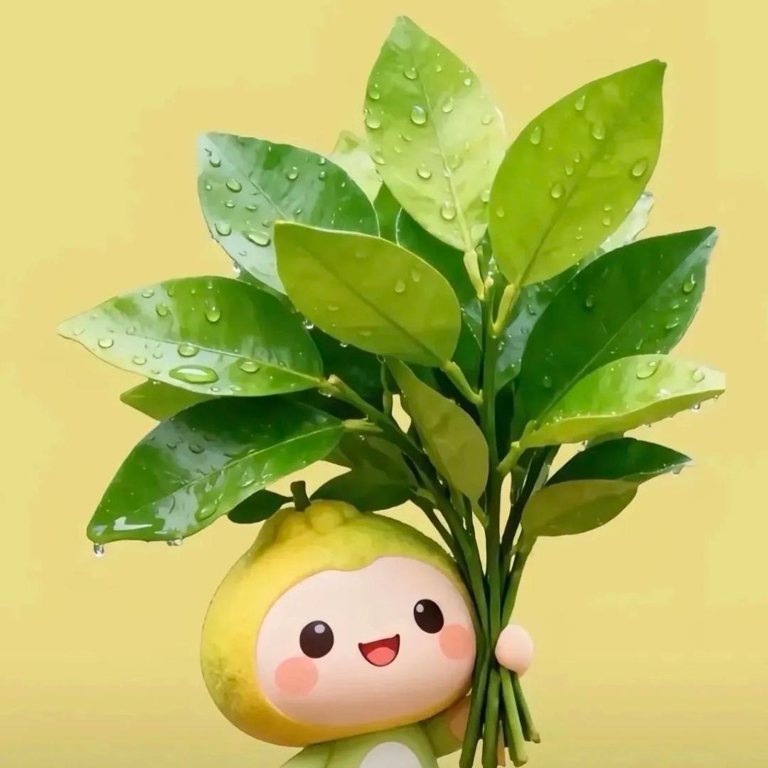小晨